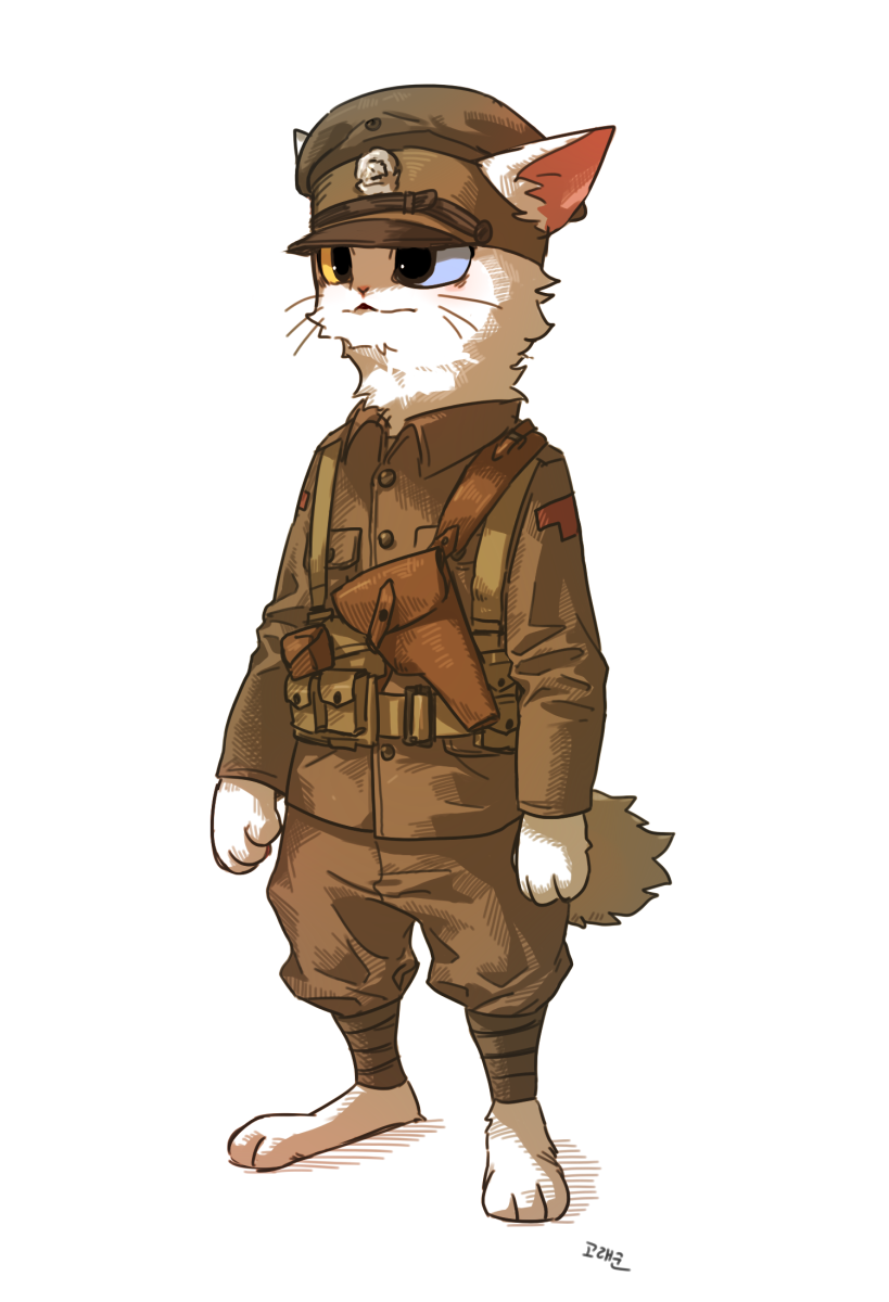 Британский кот в шапке