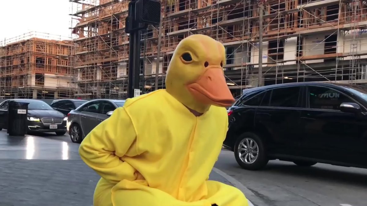 Утка носит маску собаки