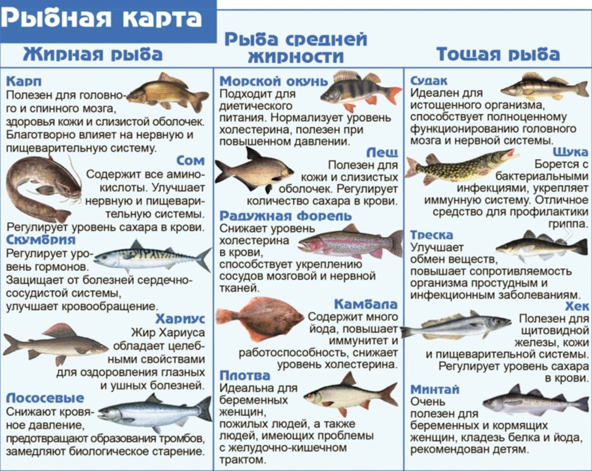 Таблица полезности рыбы