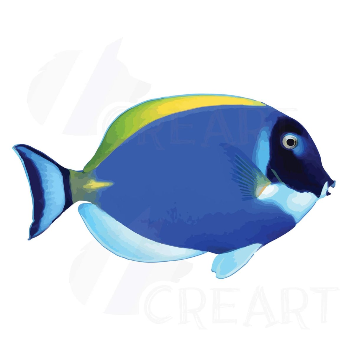 Петушок рыбка коронохвостый синий