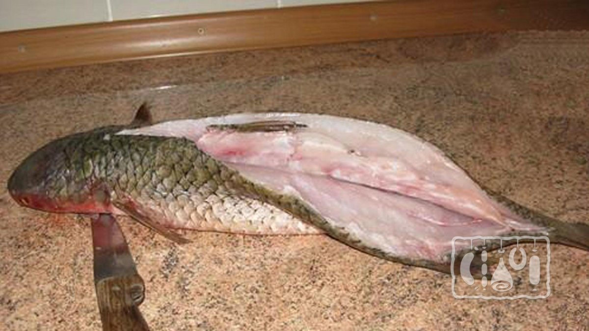 Рыба без костей пеленгас