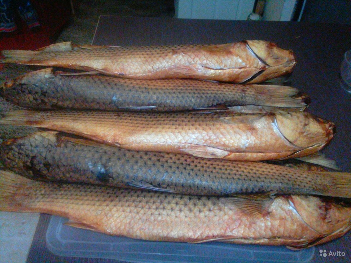 Пеленгас вяленый