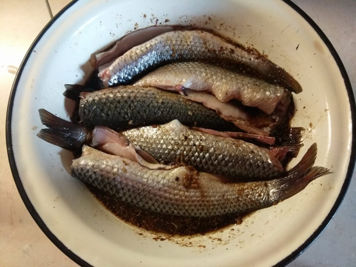 Пеленгас осетровая порода