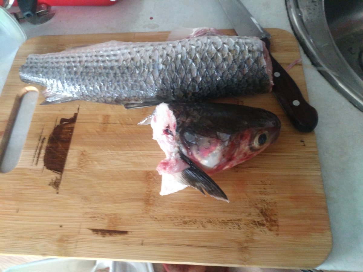 Как у кефали убрать жабры