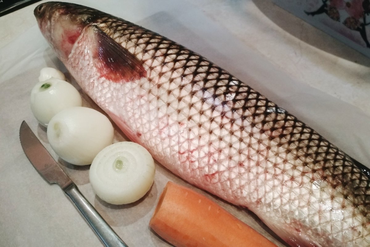 Лобань Черноморская пеленгас