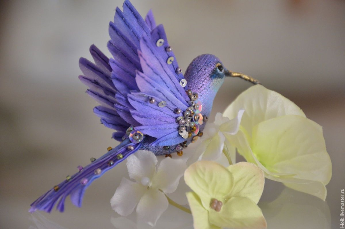 Красивые птицы