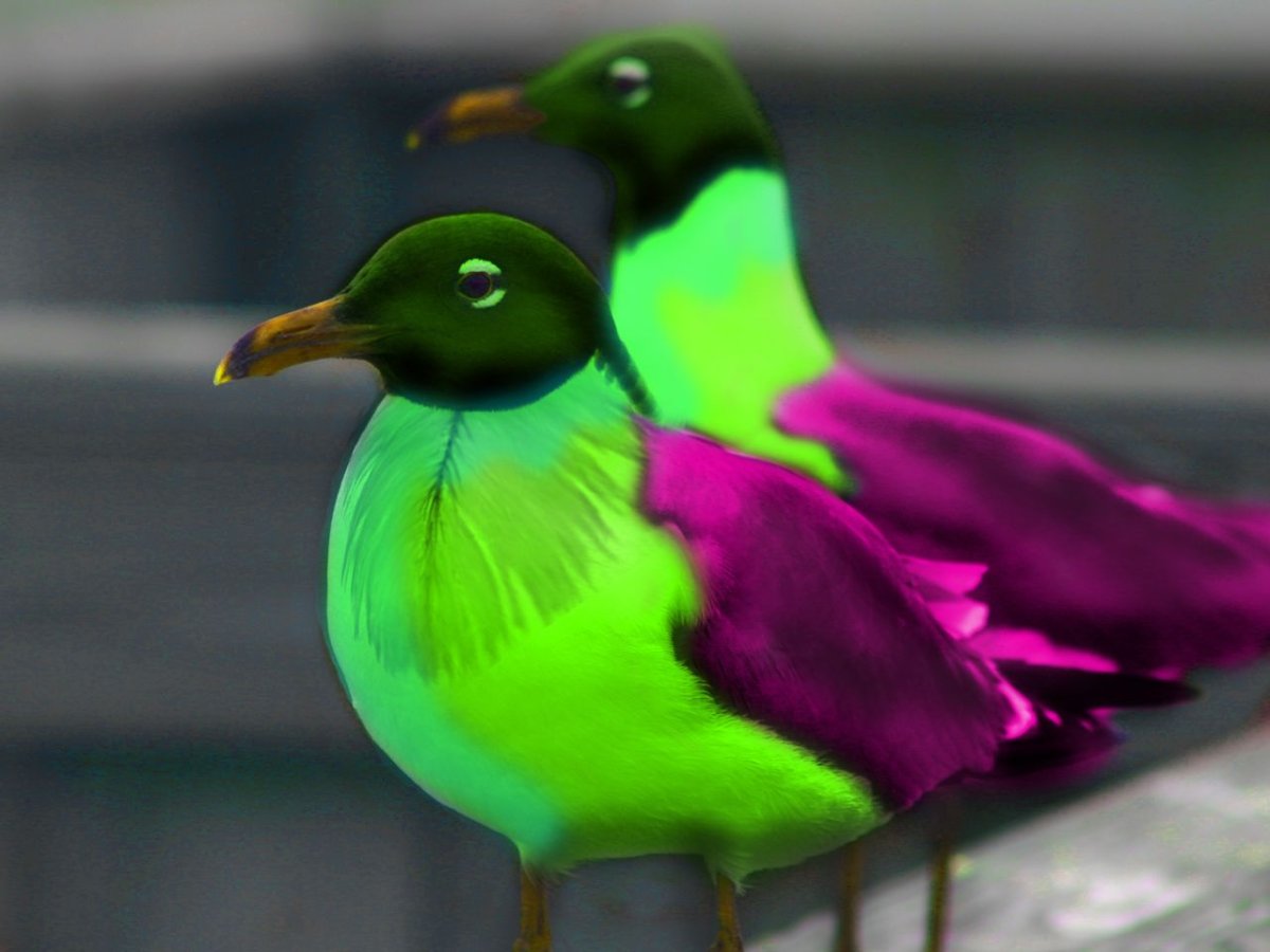 МК Юлии Гориной