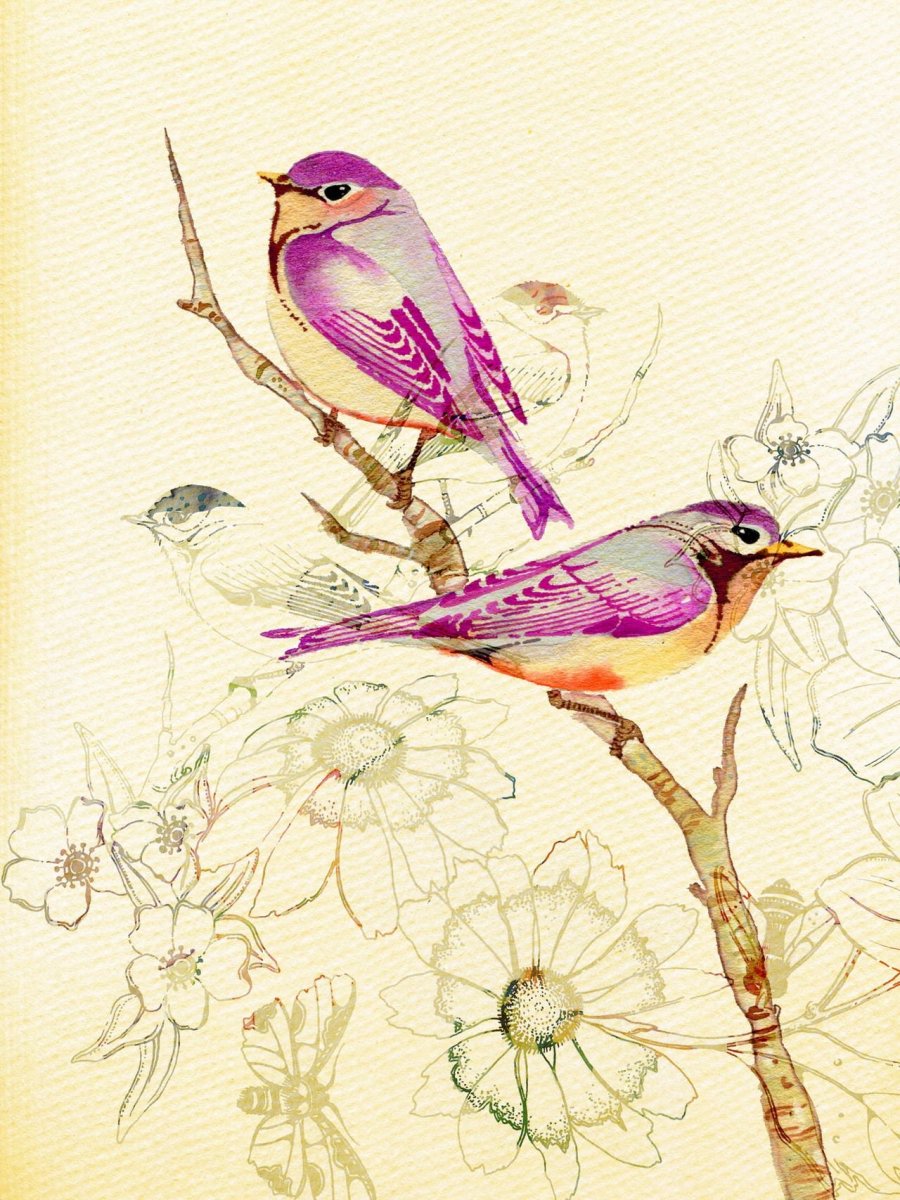 Мадагаскарская Сова