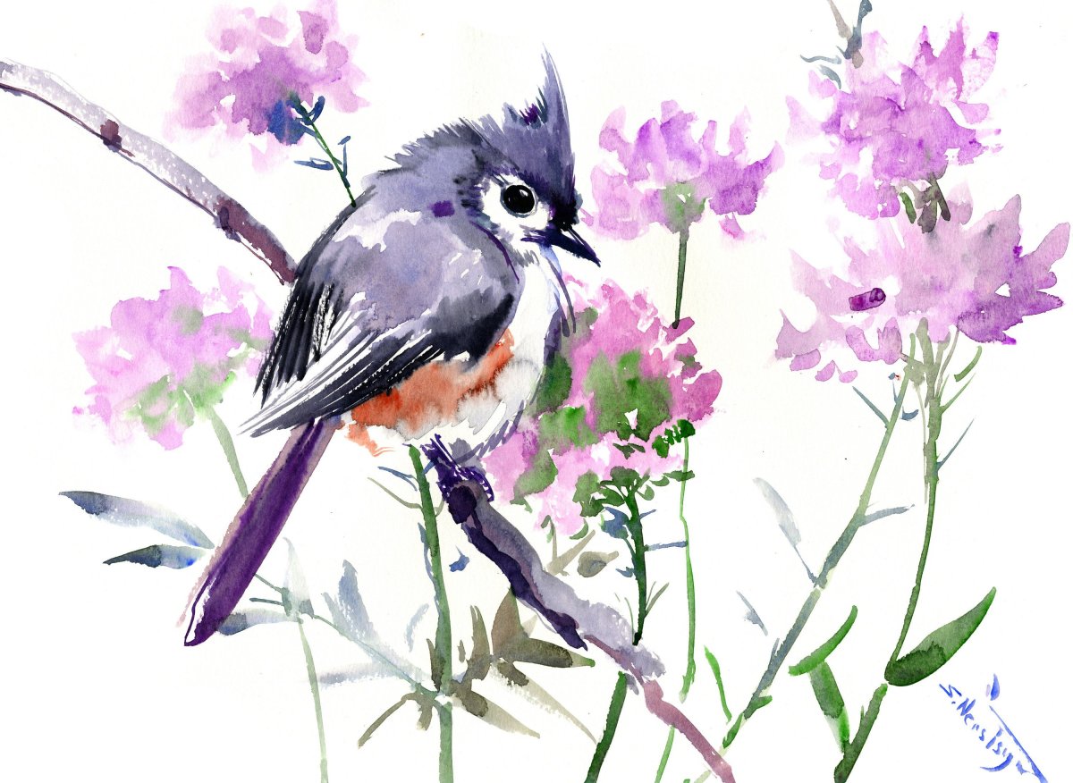 Птица иллюстрация