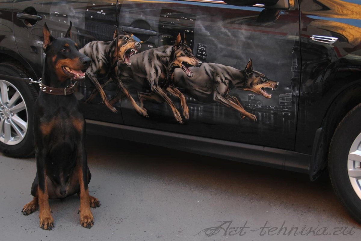 Детейлинг Доберман