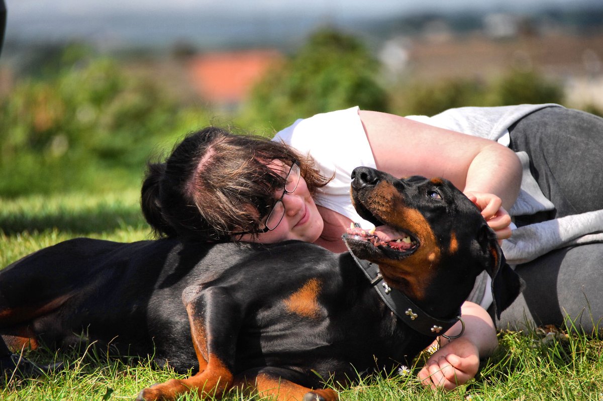 Ротвейлер и Доберман