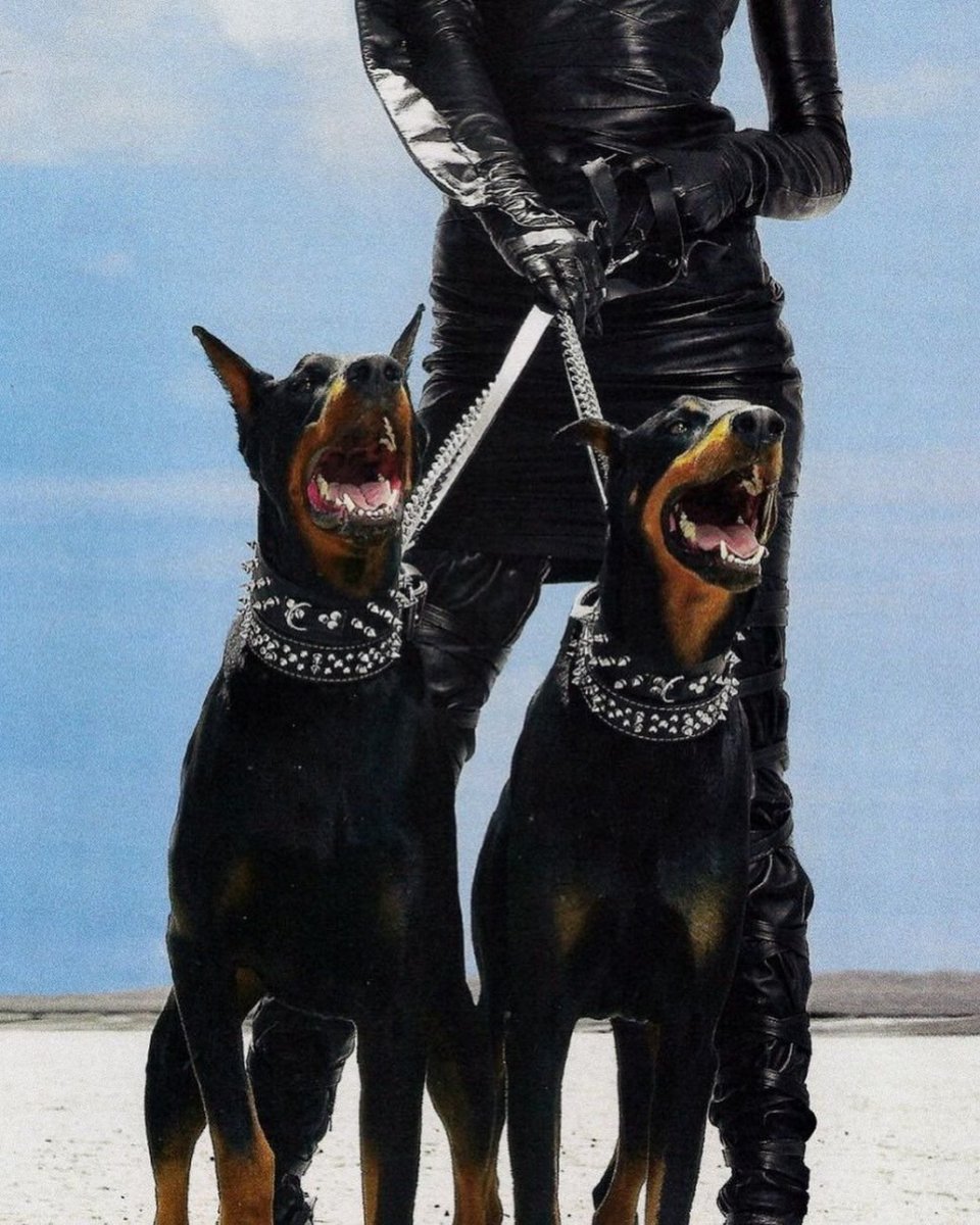 Тигровый Доберман