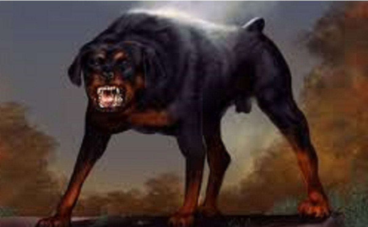 Ротвейлер собака убийца большой