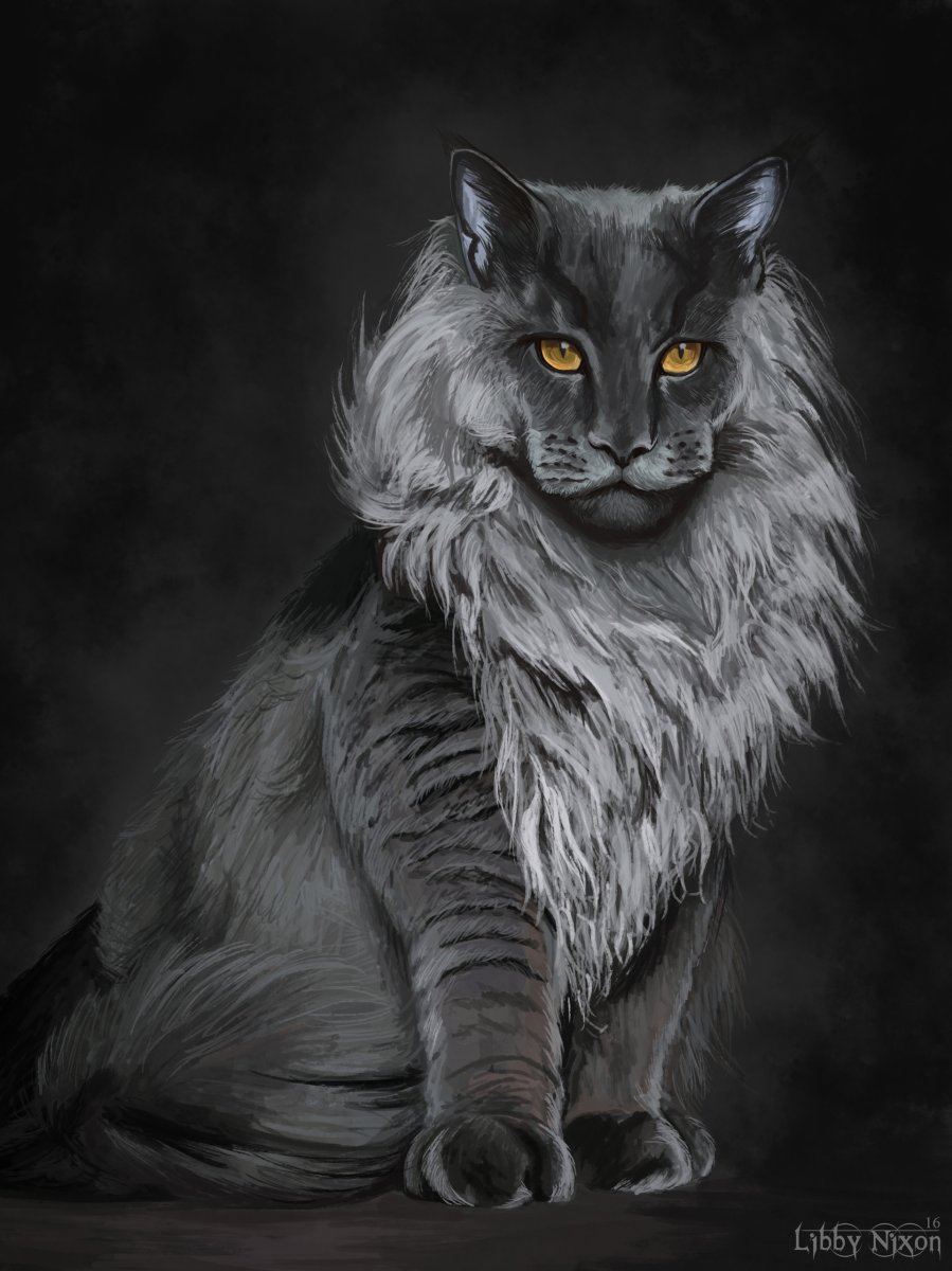 Коты Воители референс