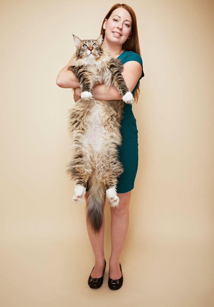 Мейн кун и Ориентал