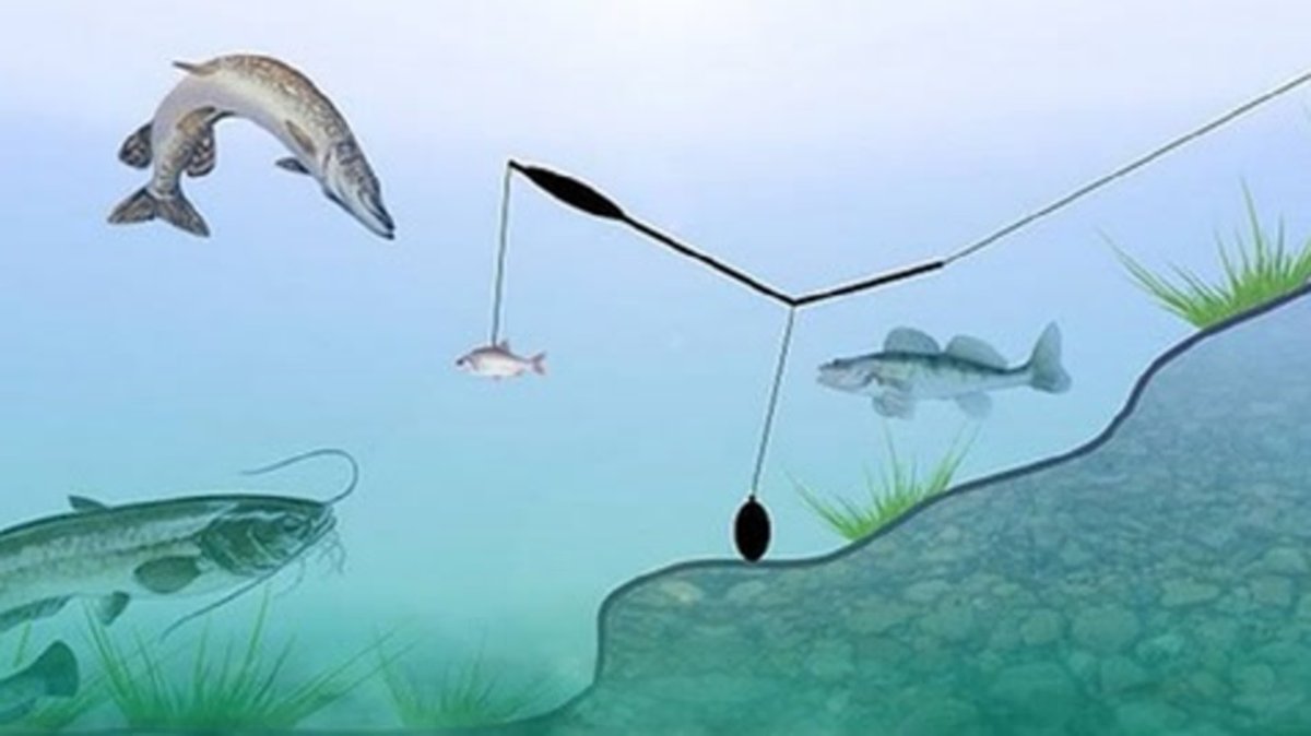 Снасти с подводным поплавком