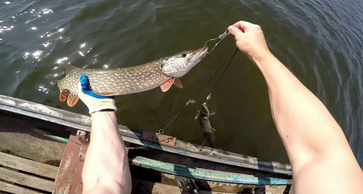 Донка для рыбалки в озере