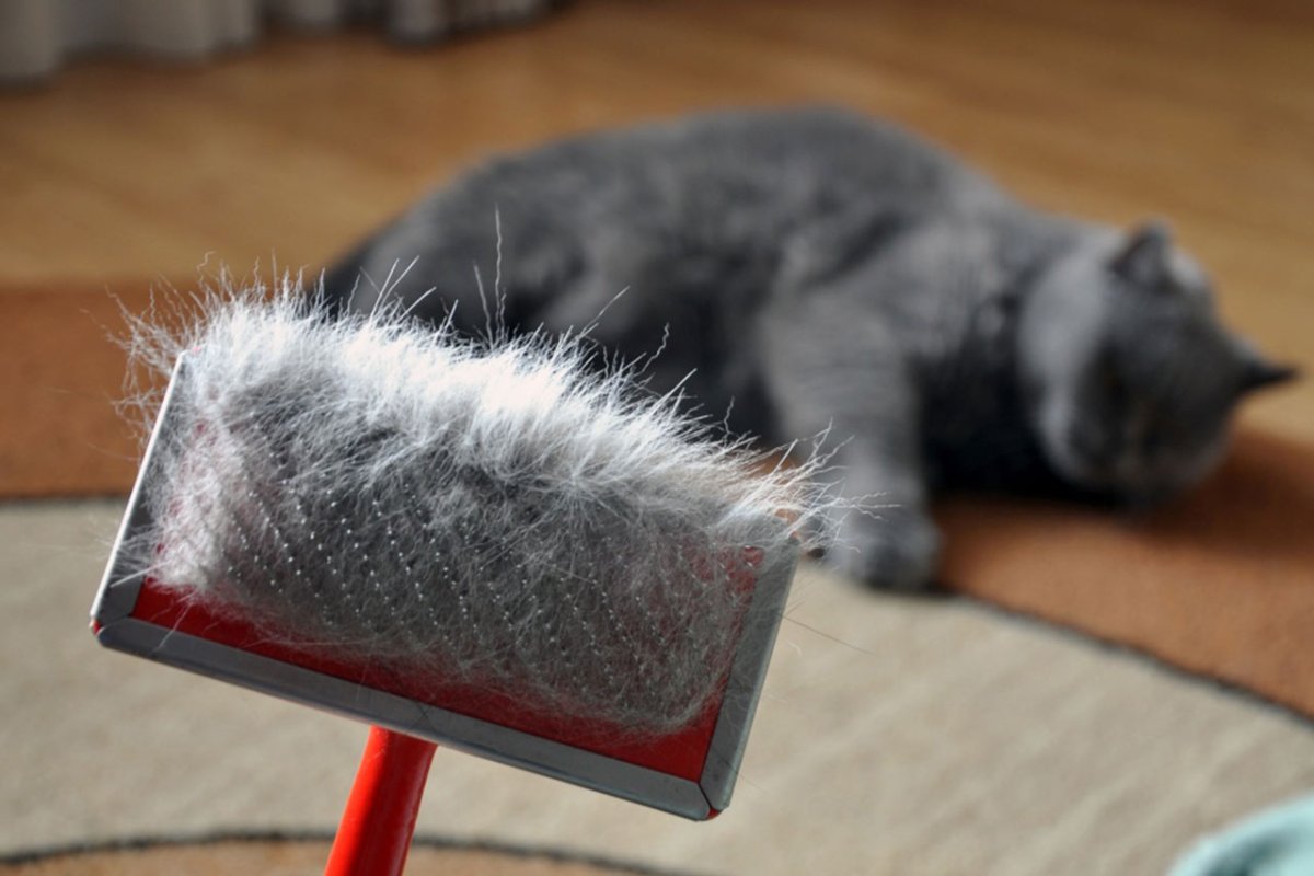 Вычесывать шерсть у собаки