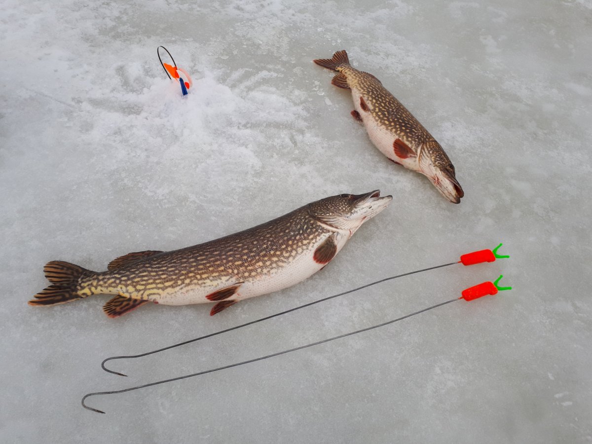 Оснастка спиннинга тирольской палочкой