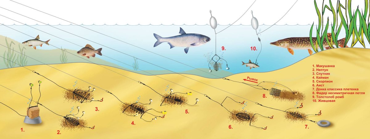 Оснастка донки на карася