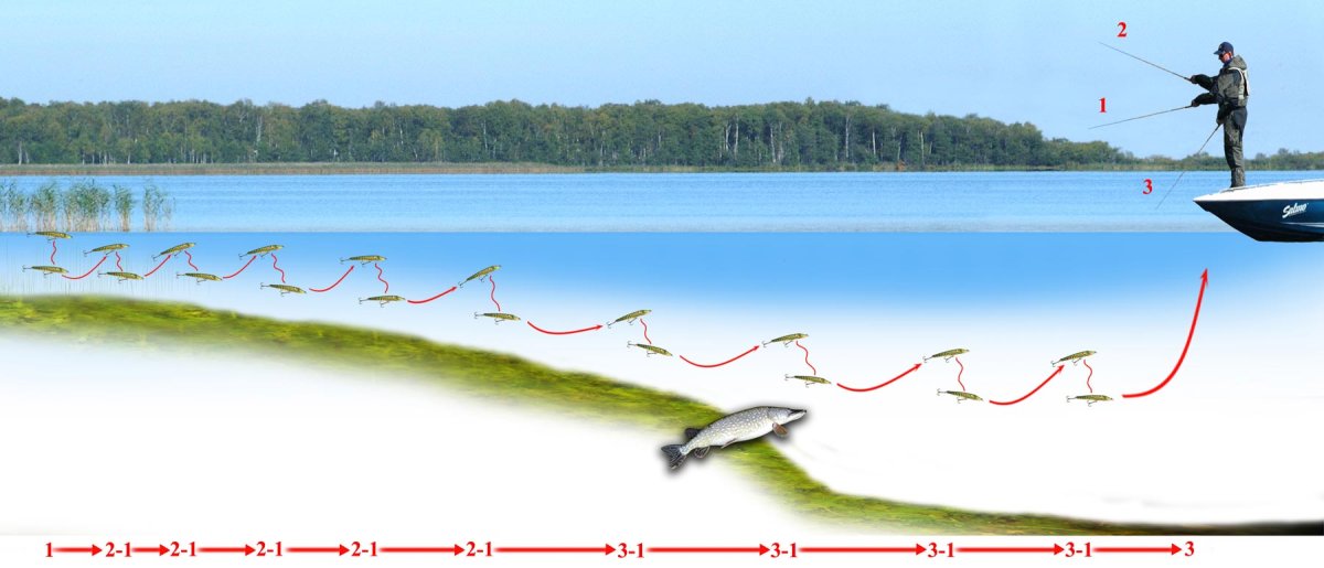 Оснастка для ловли налима осенью на донку с берега
