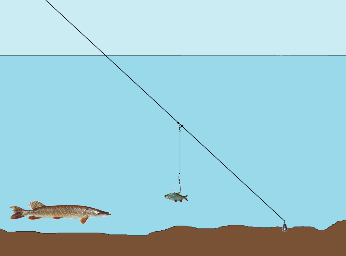 Фитер системы рыбалка