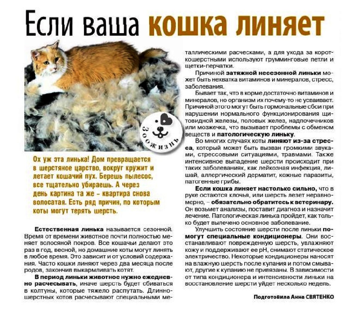 Шерсть от кошки