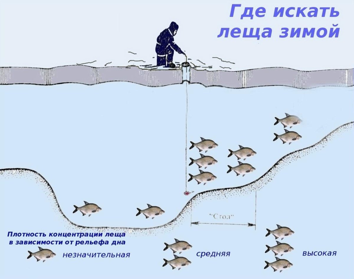 Снасть для ловли леща зимой на реке