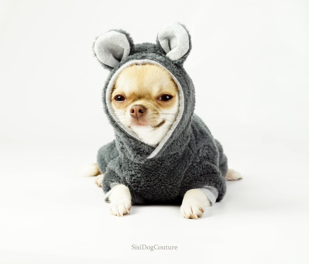 Замерзшая чихуахуа