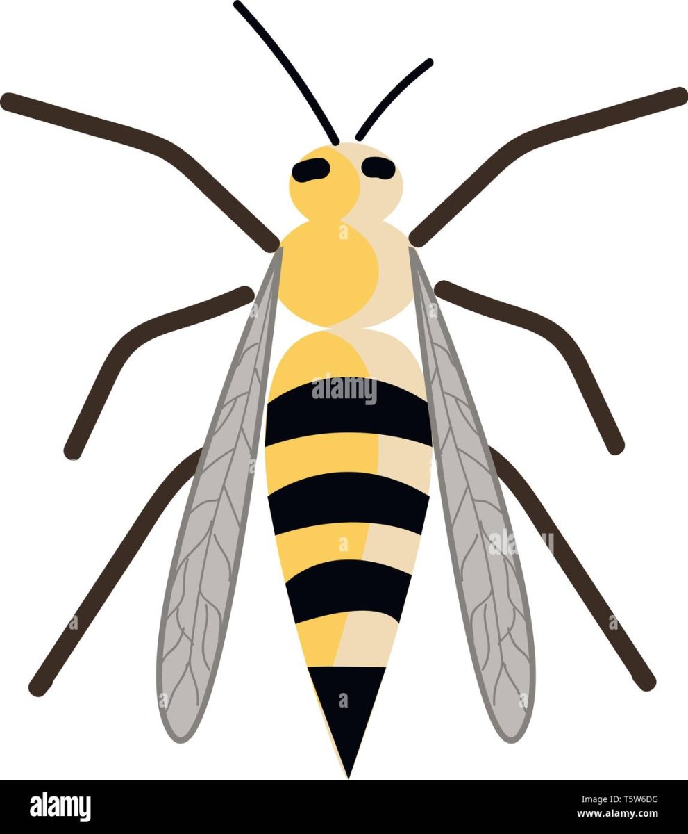 Jumping Striped Bugs North Carolina