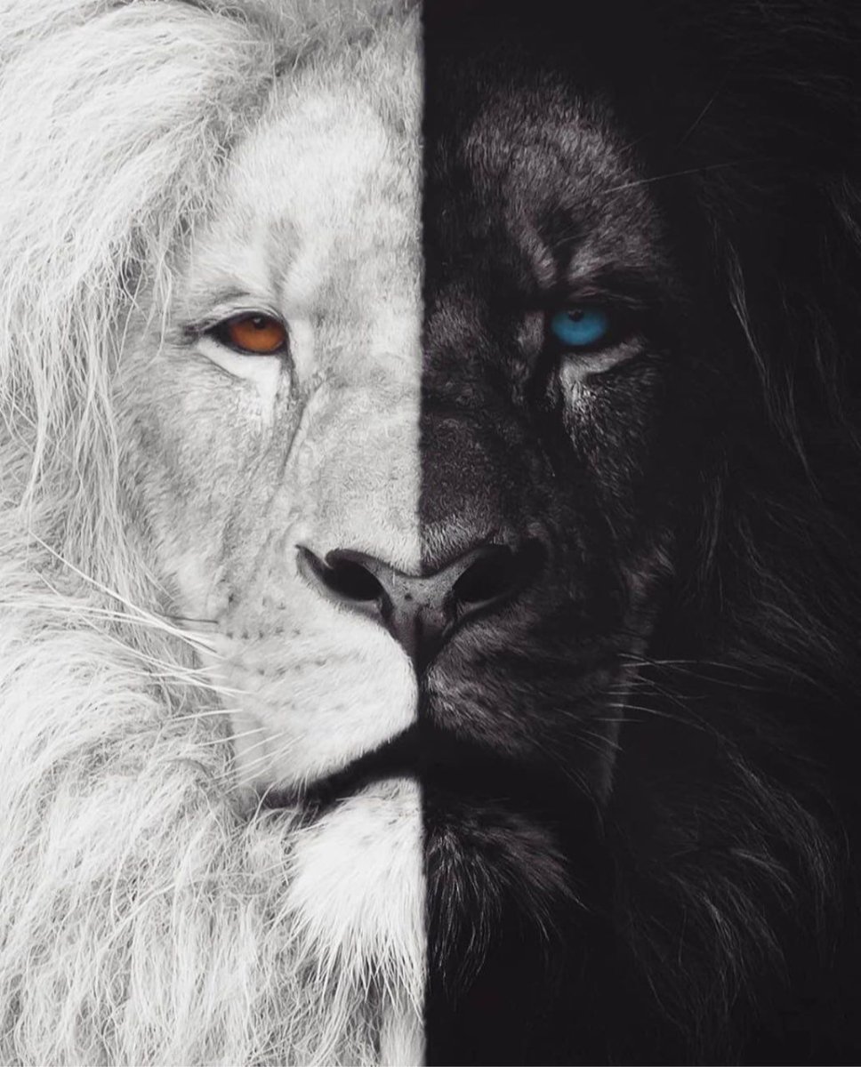 Креативный Лев