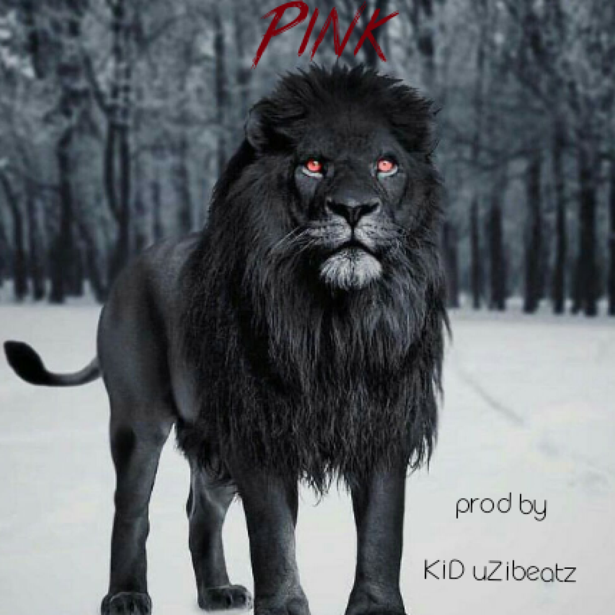 Красивый черный Лев