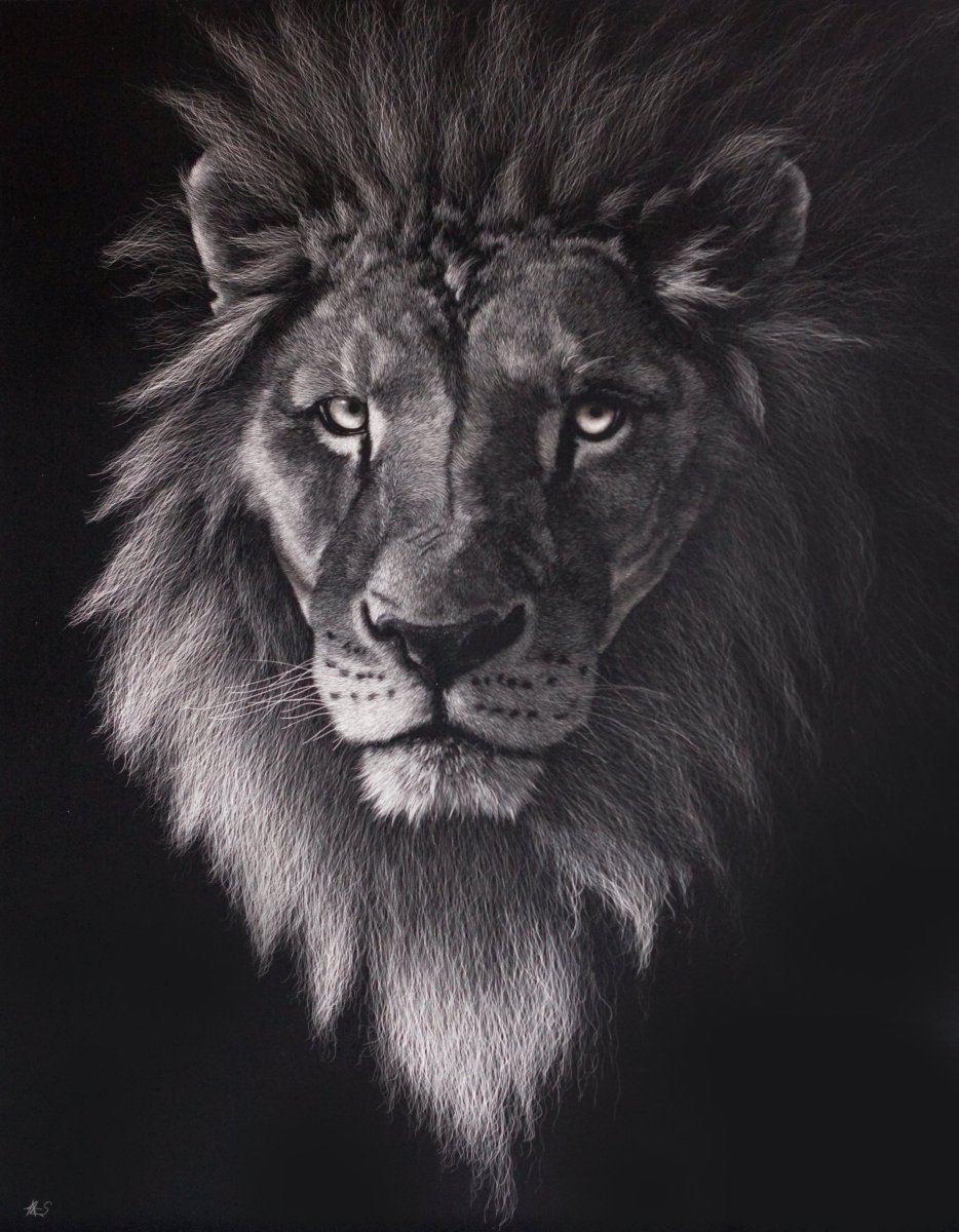 Лев черно белый