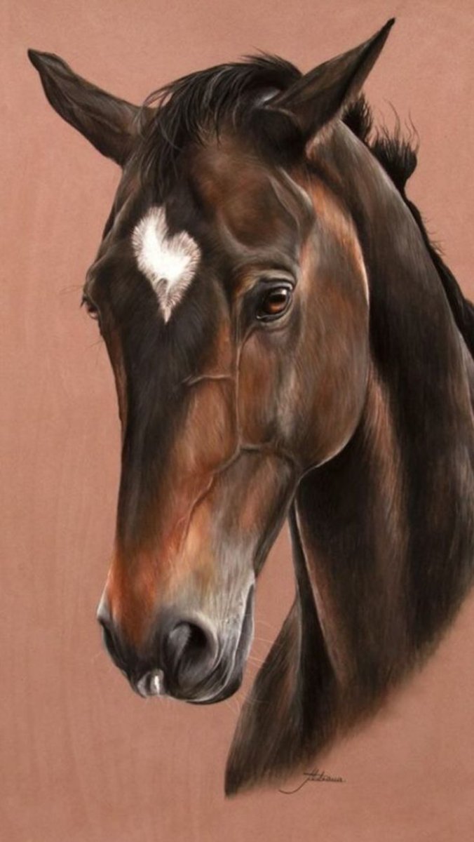 Голова лошади пастелью