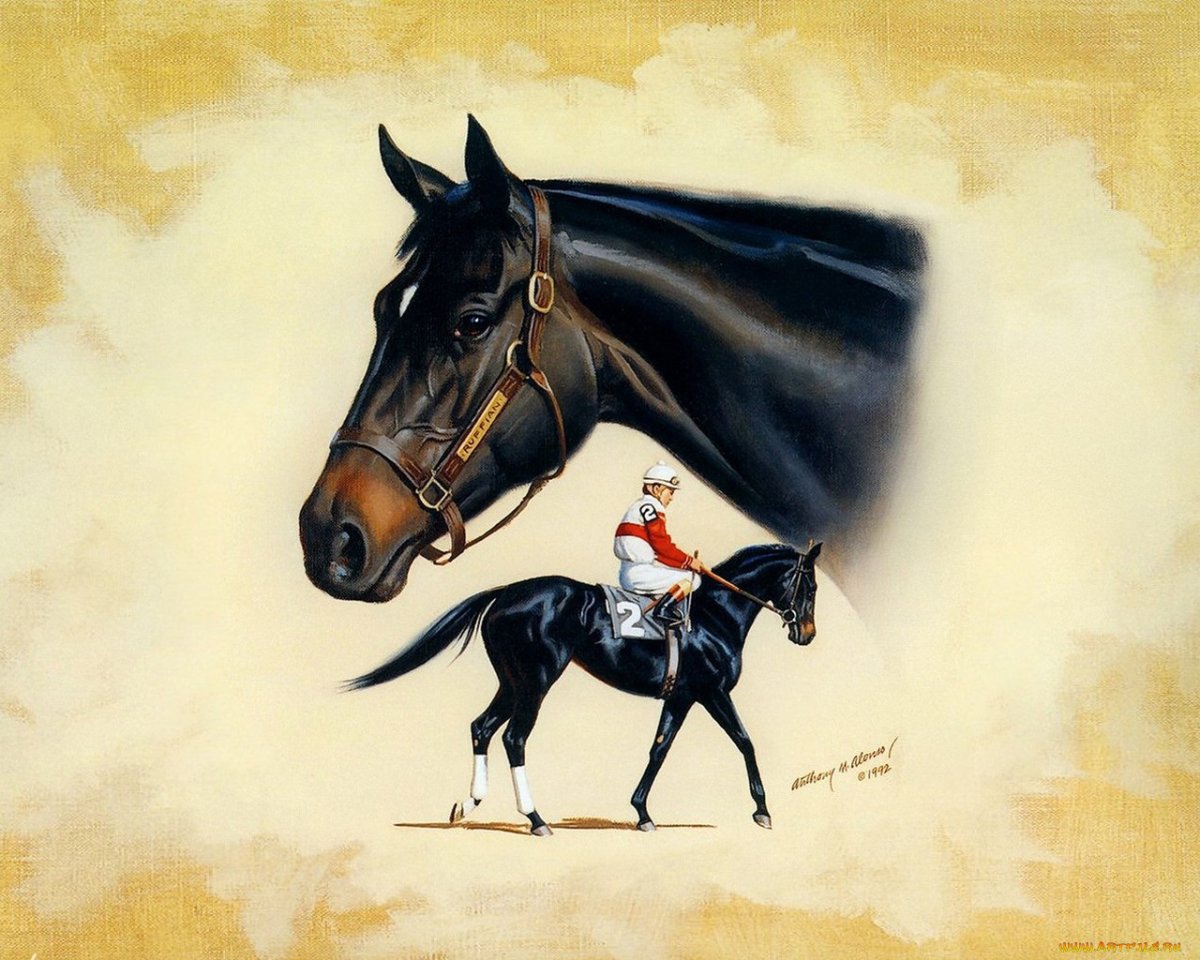 Резвая Скаковая лошадь