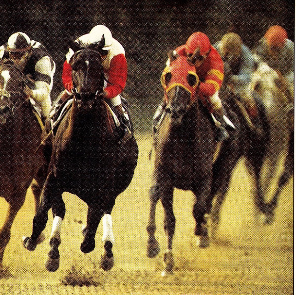 Лошадь бежит