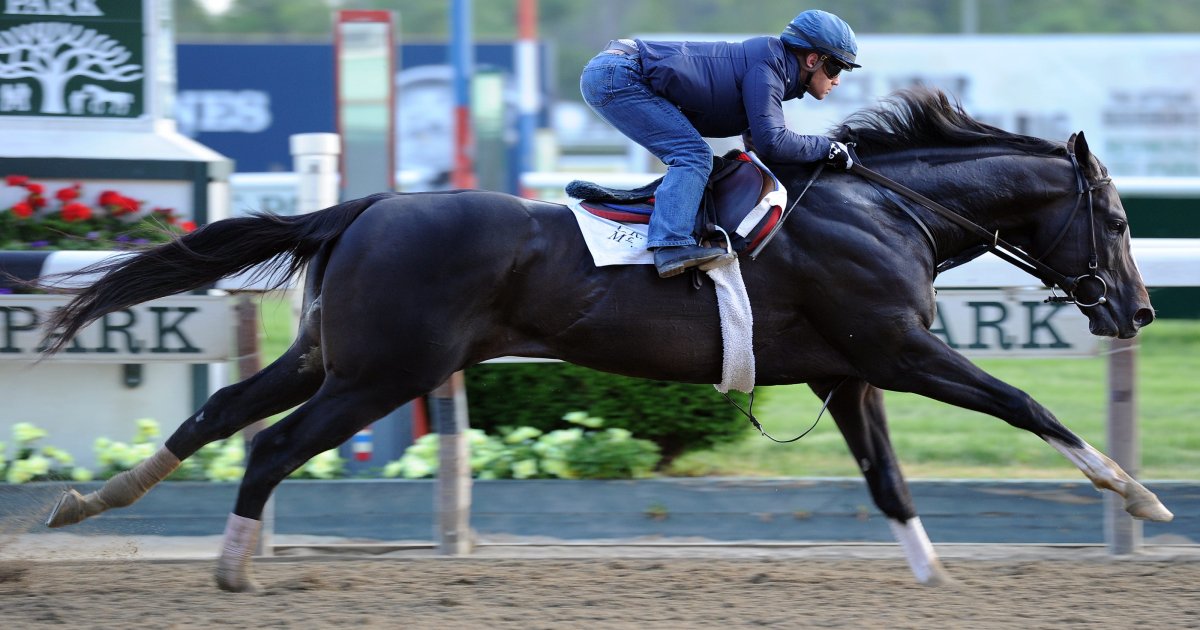 Скаковые лошади чемпионы