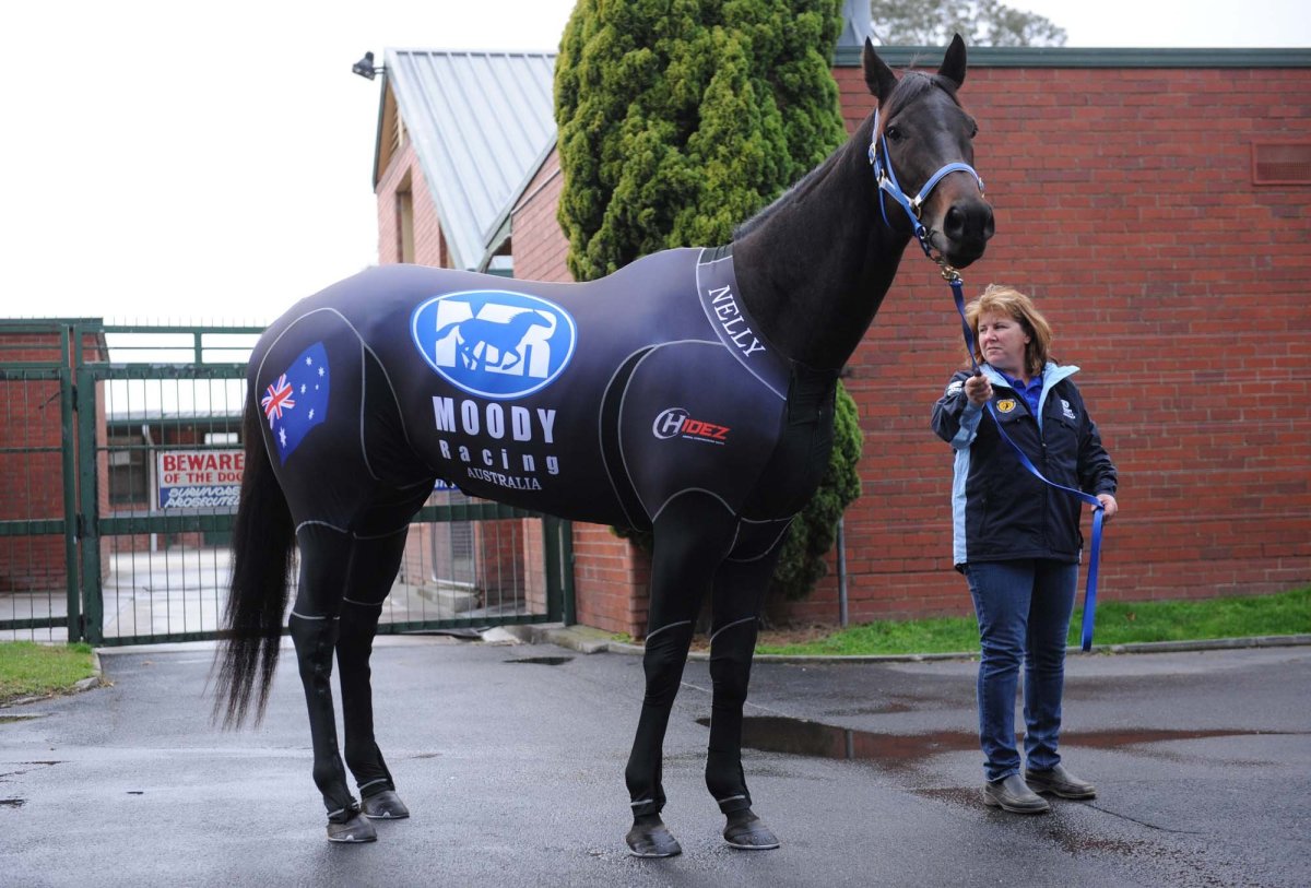 Войтек Квятковский фото лошадей