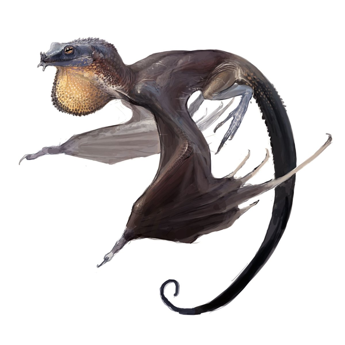 Волшебные летающие существа