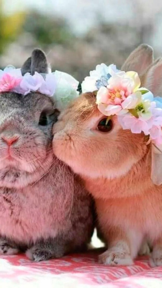 Мыло зверушки