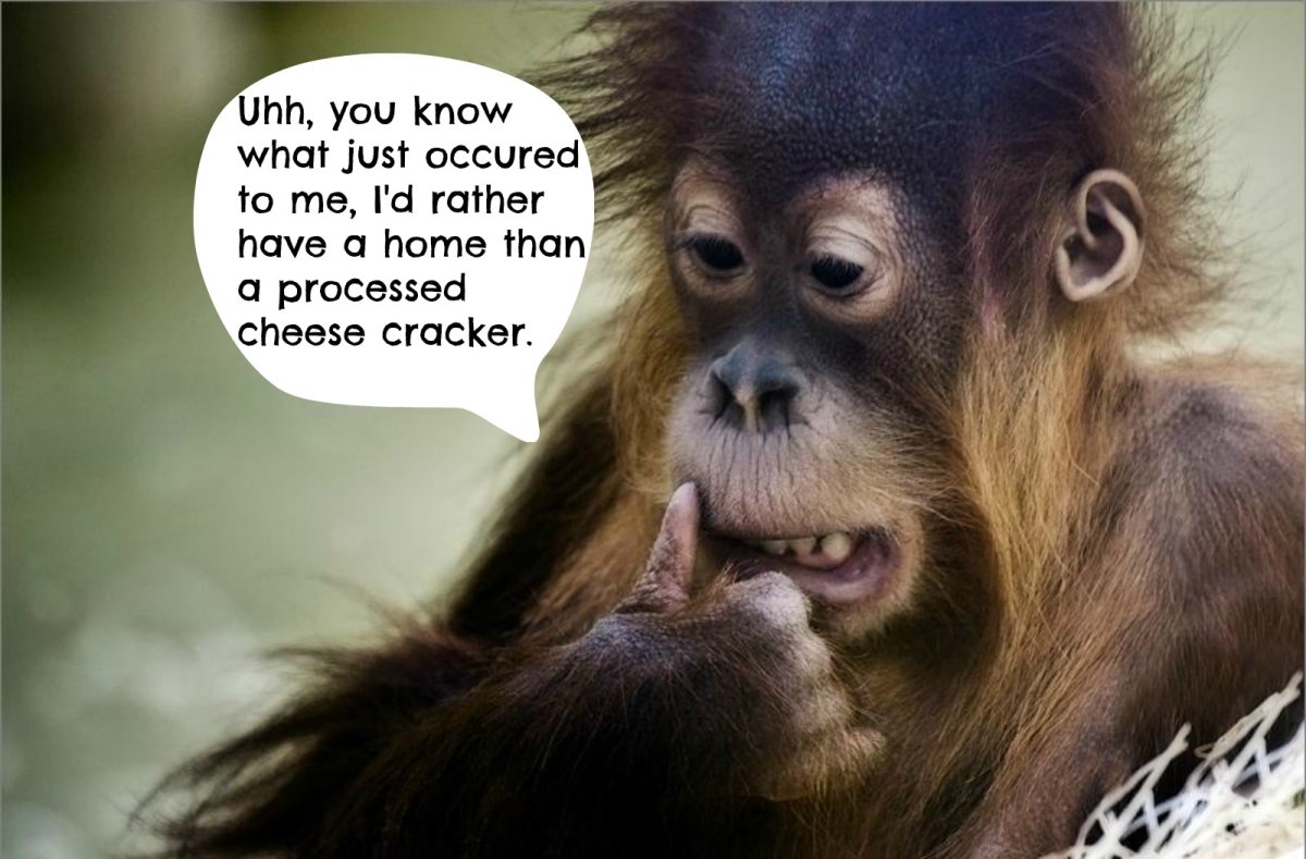 Обезьяны настроения