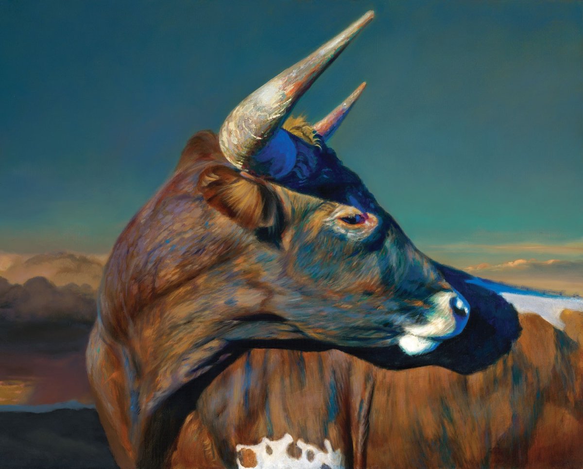 Корова в море