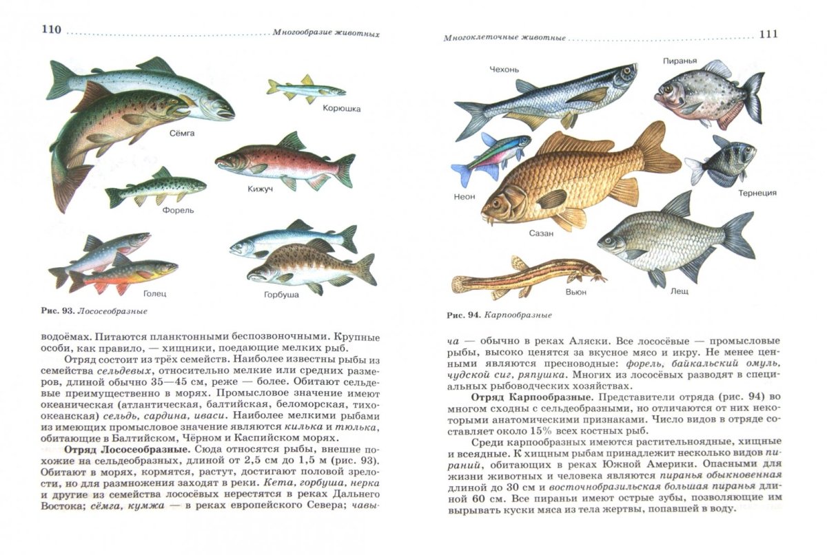 Биология 7 класс учебник рыбы