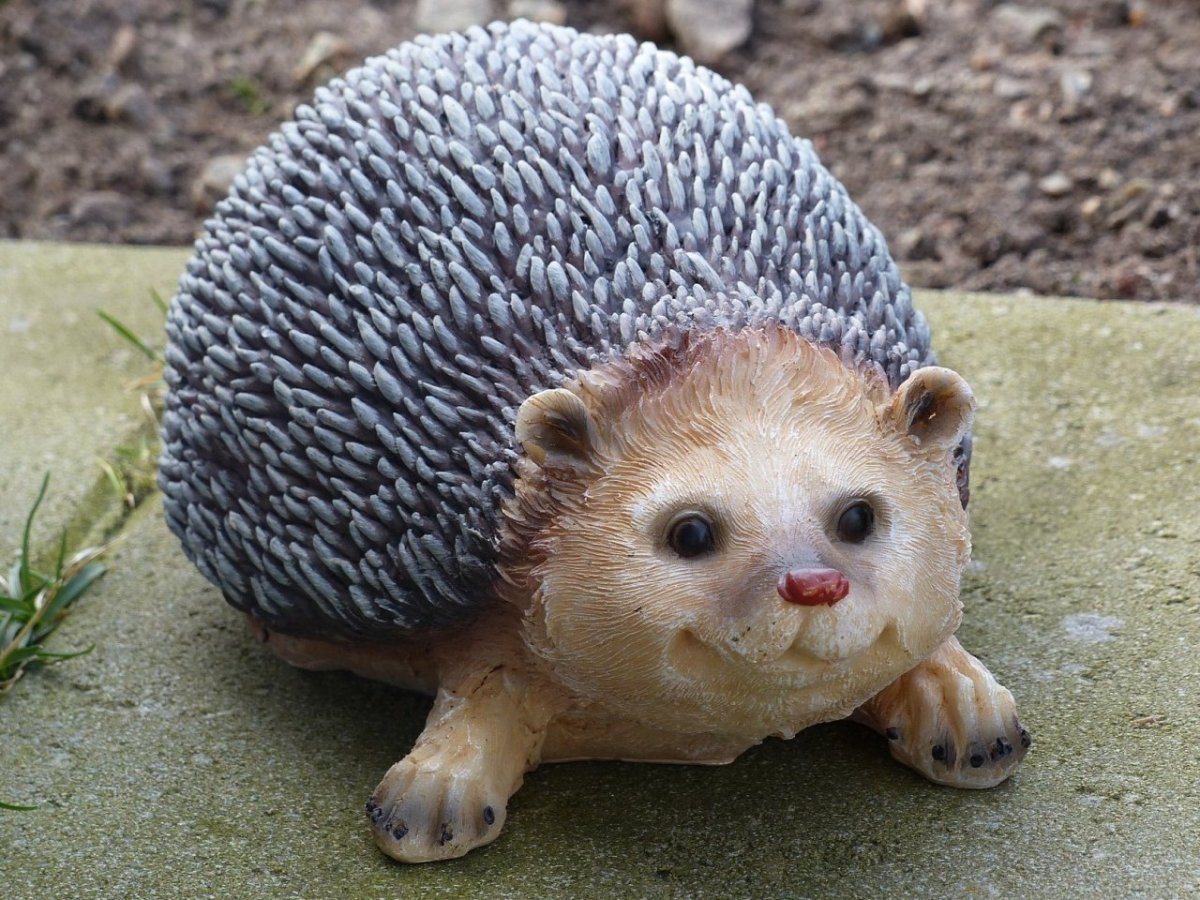 Карточки для детей животные еж