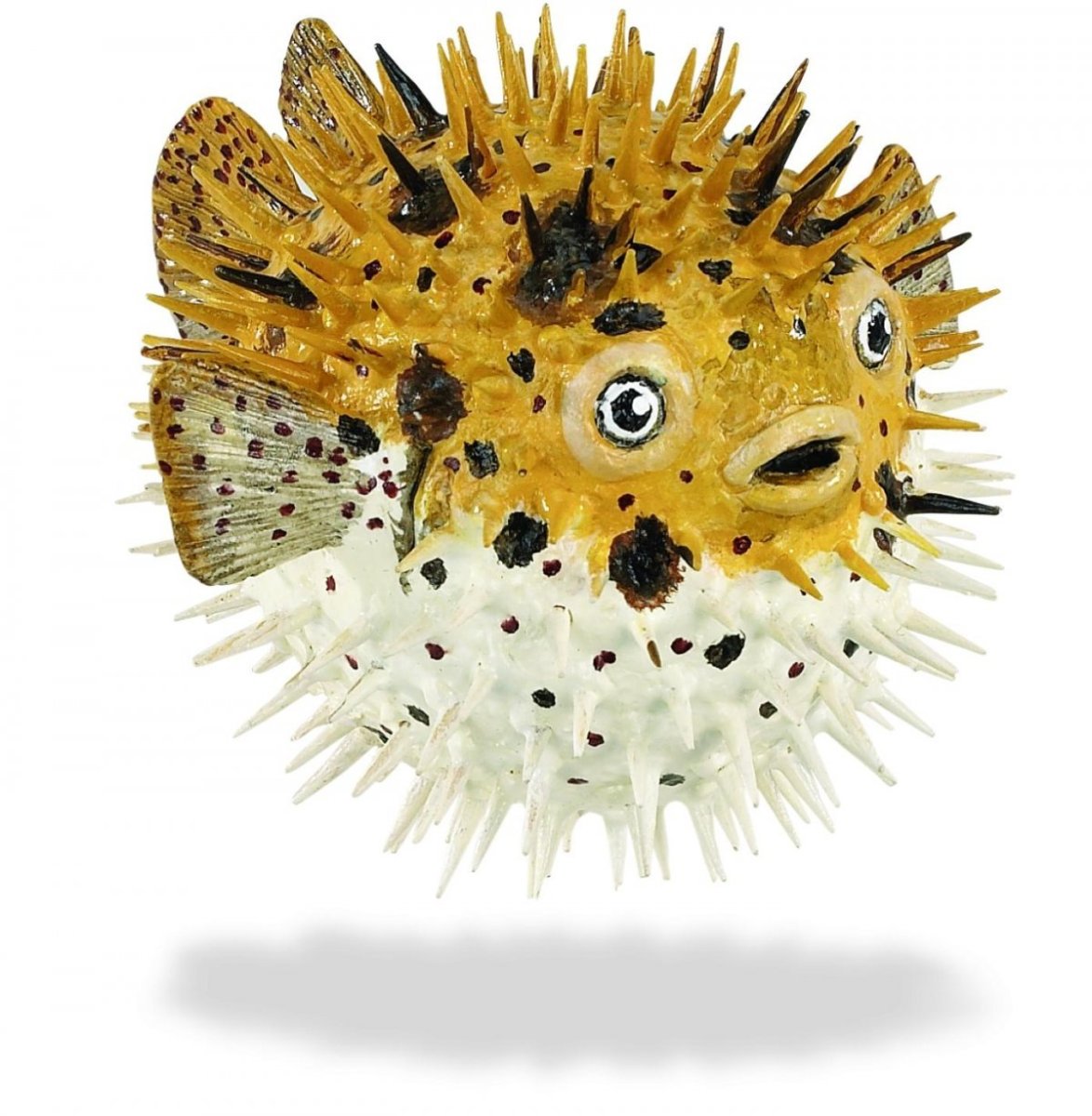 Рыба еж фугу