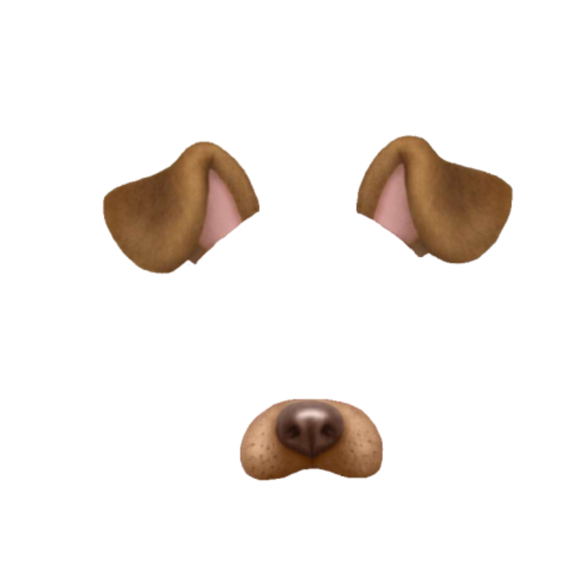 Собачий нос