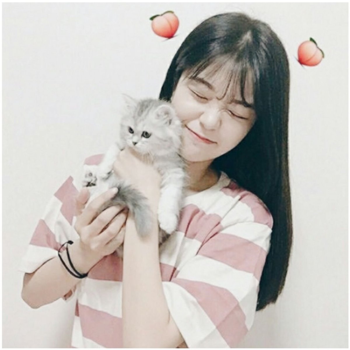 Корейские девушки с котиками