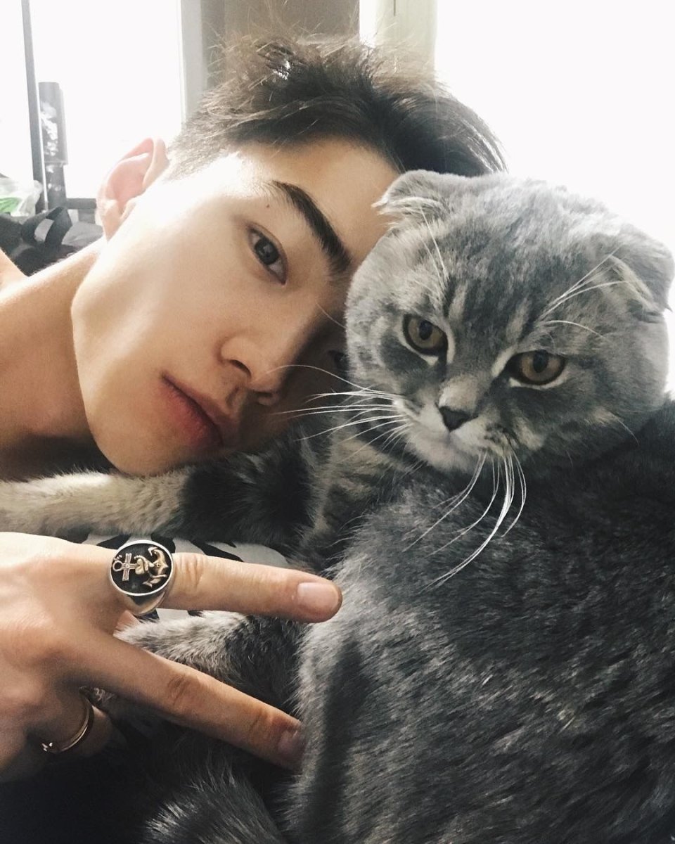 Корейцы с кошками