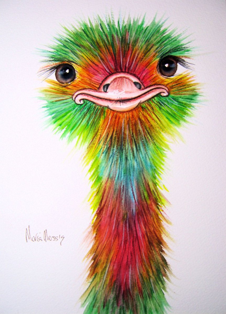 Магадаскарзкий глазо ух