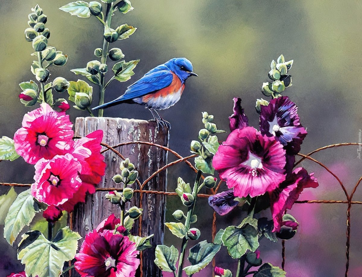 Художница Barnali Bagchi.